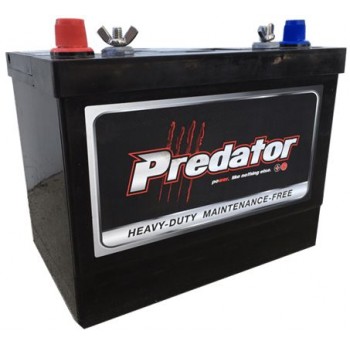Predator SMF Battery - MFM24-XHD - 12 Volt -  800CCA - 82Ah - Marine Starting - Maintenance Free - Silver-Calcium (MFM24-XHD)